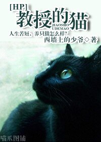 (HP同人)教授的貓