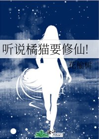 聽說橘貓要修仙!