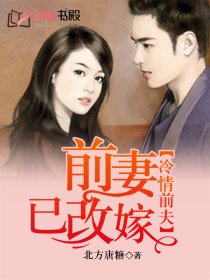 冷情前夫,前妻已改嫁