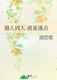 獵人同人-流星落點